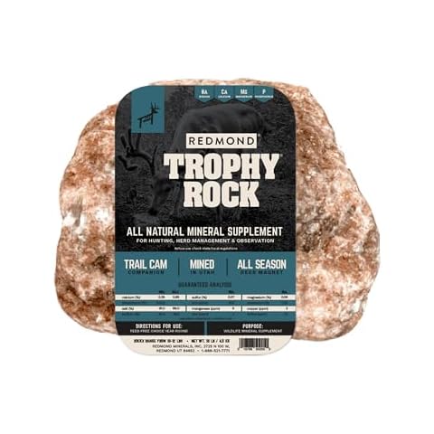 TROPHY ROCK thumbnail