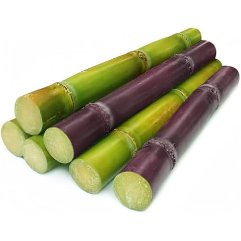 Tropical Importers thumbnail