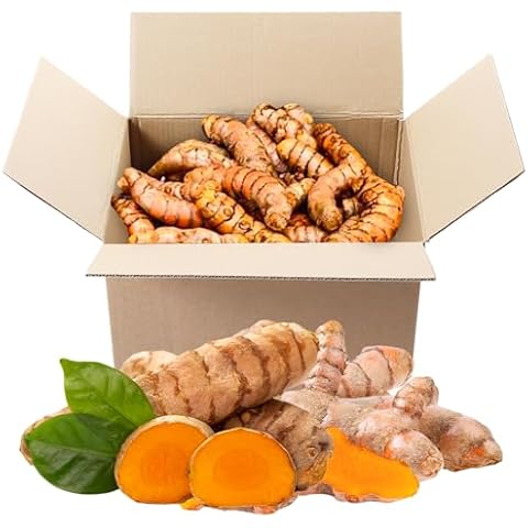 Turmeric Zone thumbnail