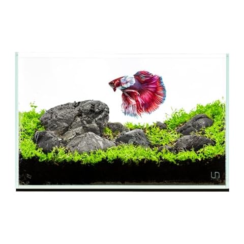 Ultum Nature Systems thumbnail