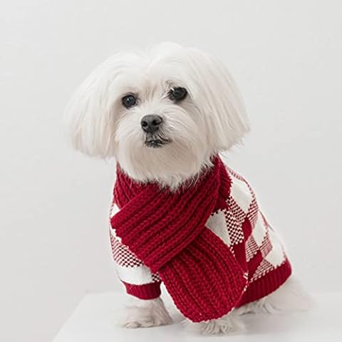United Pups thumbnail
