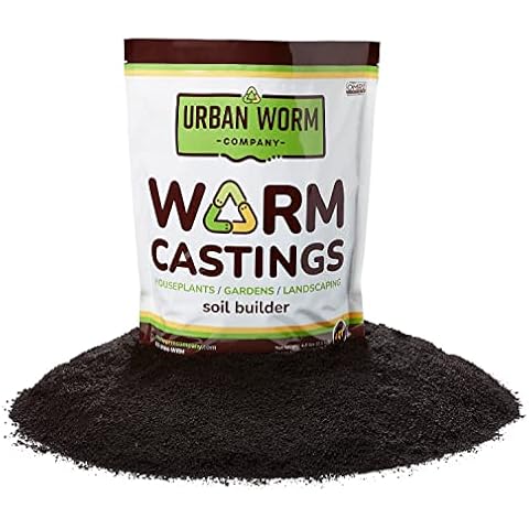 Urban Worm thumbnail