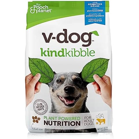 V-Dog feature image