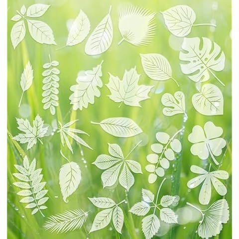 ValueBargain thumbnail