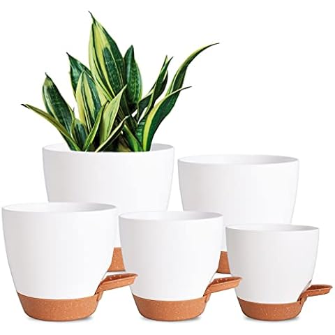 1 Pack Self Watering Planters 6 Inch Plant Pot Self Watering Pots for  Indoor Plants Plastic Plant Pot for African Violets, Flower Pots ,Plant Pots  Indoor, White 