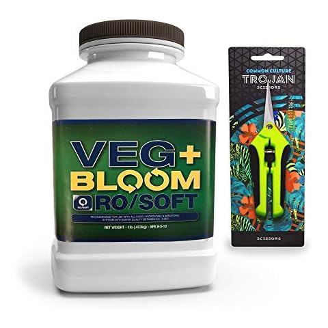 VEG+ BLOOM thumbnail