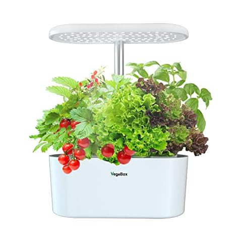 VegeBox thumbnail