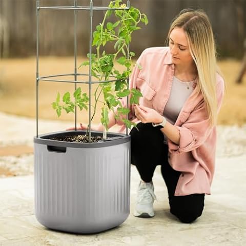Vego Garden thumbnail