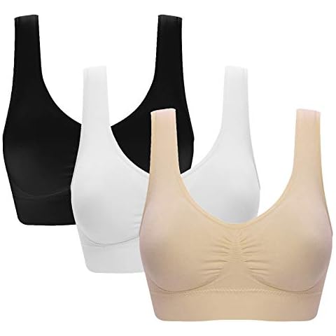 Vermilion Bird feature image