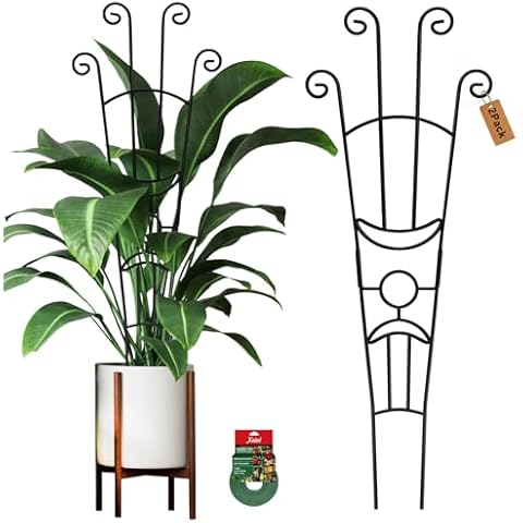 Vertical Garden Trellises