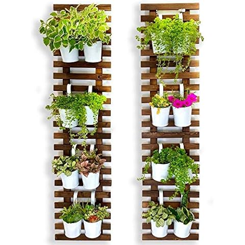 Vertical Planters for Orchid