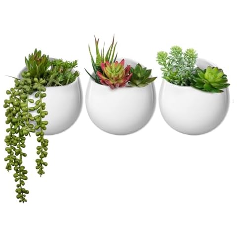 Vertical Planters for Succulent