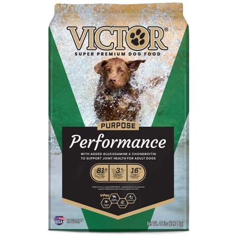 Victor thumbnail