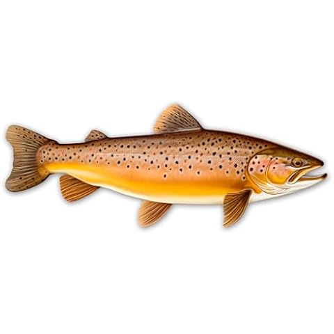 Vinyl Designs feature image