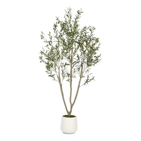 VIVATREES feature image