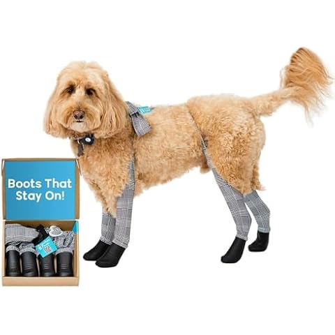 Walkee Paws thumbnail