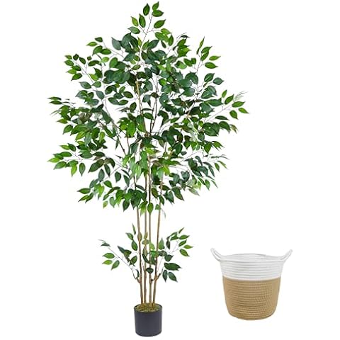 Warmplants thumbnail