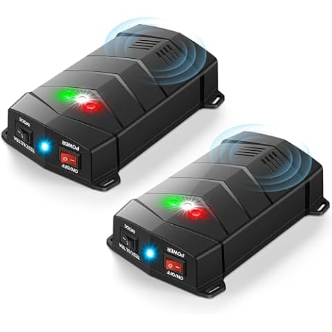 WAYSLA feature image