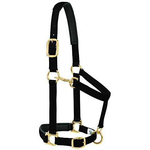 Weaver Equine thumbnail