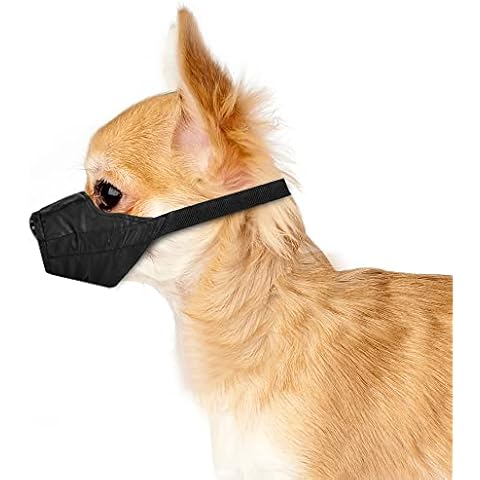 Weebo Pets thumbnail