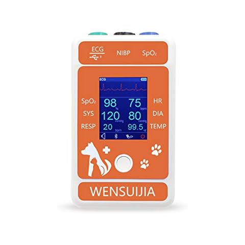WENSUIJIA thumbnail