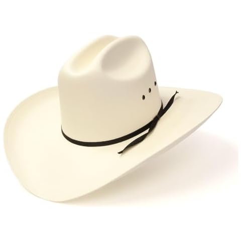 Western Express thumbnail