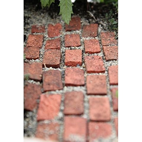 Wholesale Fairy Garden thumbnail