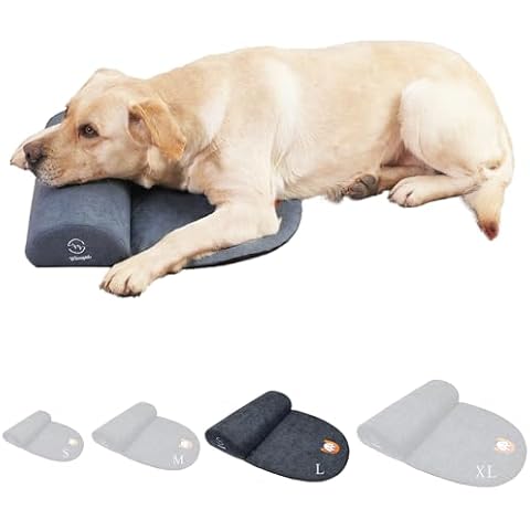 Whoopub feature image