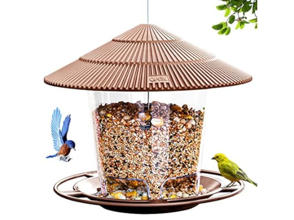 The 10 Best Wild Bird Feeders of 2024 (Reviews) - FindThisBest