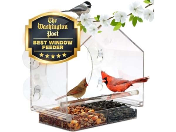 Wild Bird Feeders Thumbnail