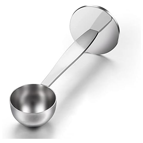 WILLIZTER feature image
