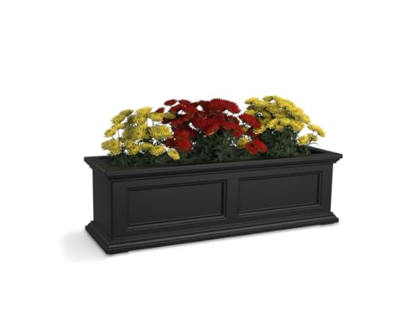 Window Boxes Thumbnail
