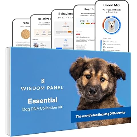 Wisdom Health thumbnail