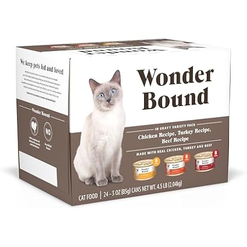 Wonder Bound thumbnail