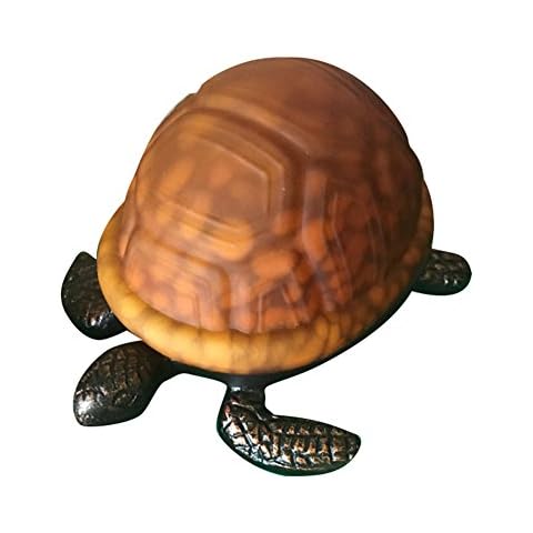 Wonderfulwu thumbnail