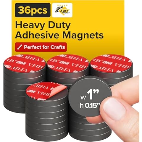 X-Bet MAGNET thumbnail