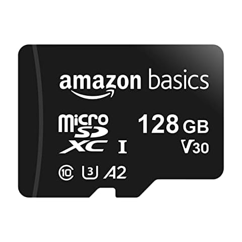 X Ray Proof Micro SD Memory Cards