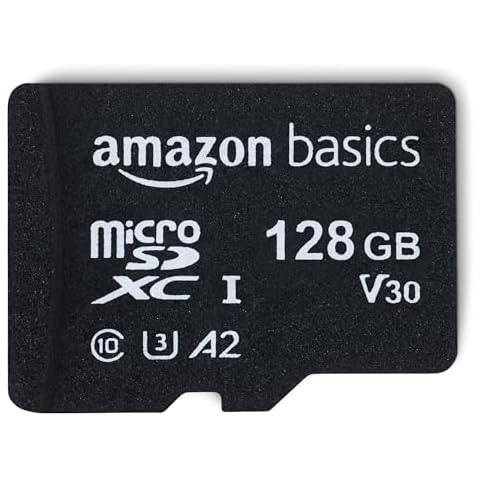 X Ray Proof Micro SD Memory Cards