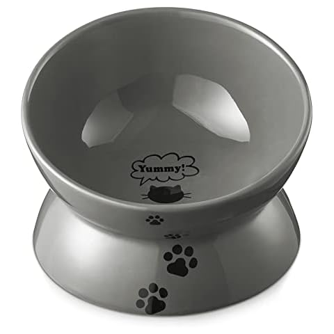 Y YHY Cat Food Bowls, Elevated Cat Bowls, Raised Pet Food Water Bowls with  Stand, Dog Bowls Small Size Dog - Ceramic Pet Bowls for Cat or Dogs, Cat  Dishes 12/24 Ounces