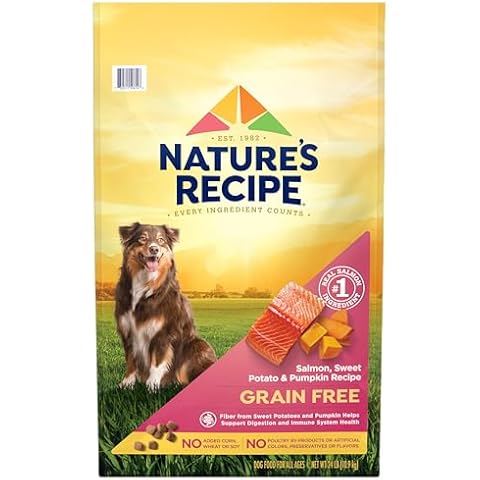 Yeast Free Dog Food