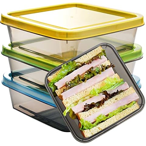 https://us.ftbpic.com/product-amz/youngever-3-pack-sandwich-containers-for-lunch-box-reusable-food/51vGleRVf+L._AC_SR480,480_.jpg