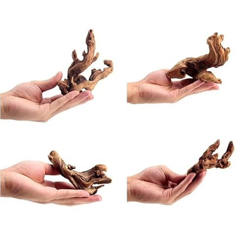 YZHZOM thumbnail