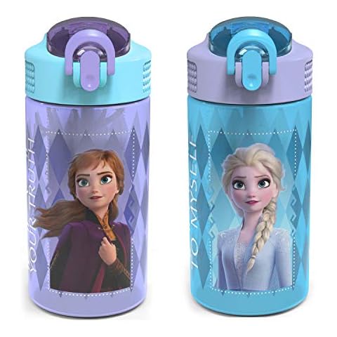 Zak Designs 14 oz Kids Water Bottle Stainless Steel Disney Frozen 2 Anna Vacuum Insulated for Cold Drinks Indoor Outdoor, Size: 14 fl oz