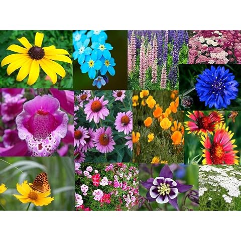 Zellajake Farm And Garden feature image