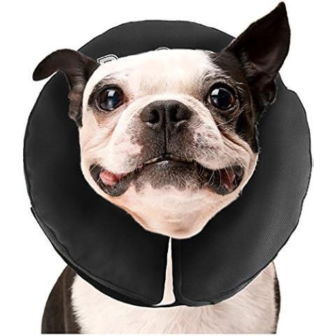 ZenPet thumbnail