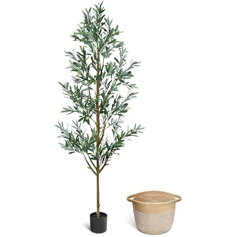 ZOES HOMDECO thumbnail