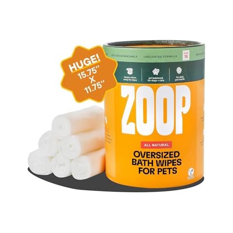 ZOOP thumbnail