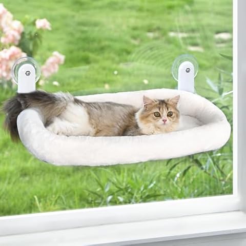 Zoratoo thumbnail